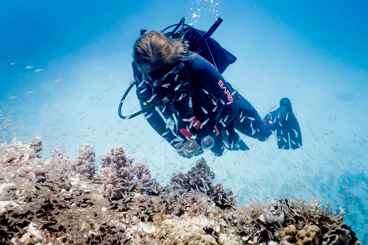 /userfiles/product_gallery_images/origin/suunto-zoop-novo-blue-micronesia-img-2584-15.webp