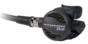 B2 DIN Black w/swivel